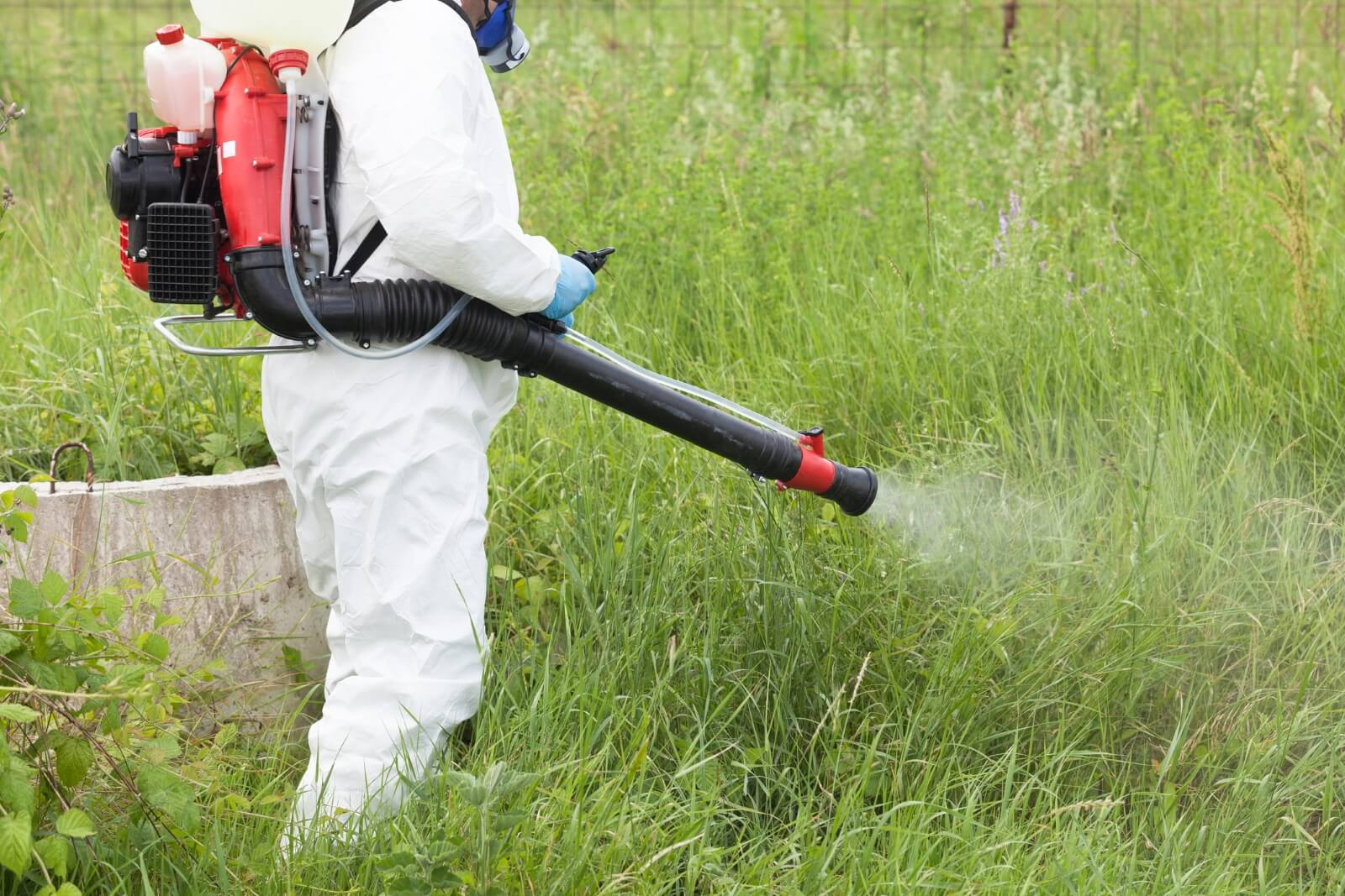 Advantages of Commercial Pest Control